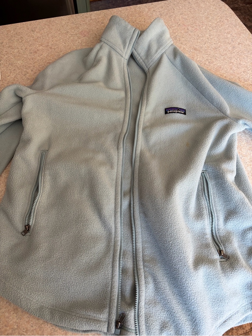 Patagonia Light Blue Women's Full-Zip Fleece Jacket